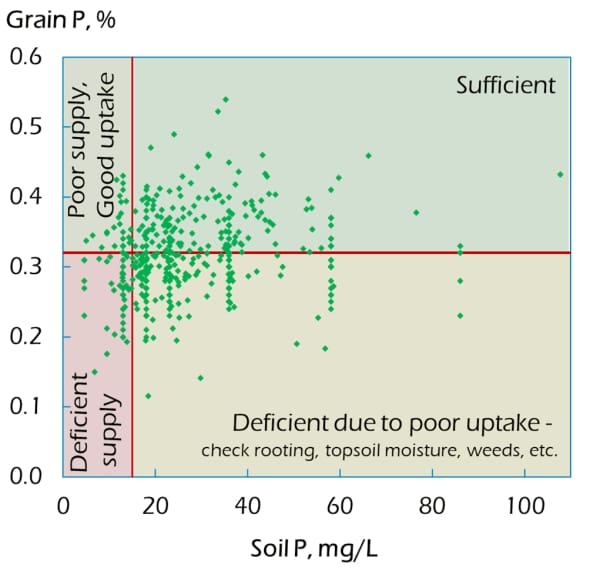 YEN Graph showing P concentration in crop samples submitted