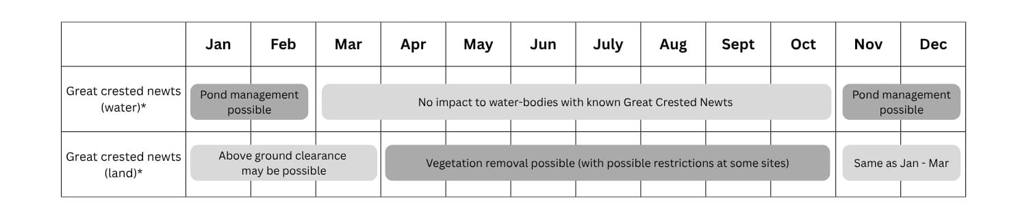 Great crested newts - mitigation calendar
