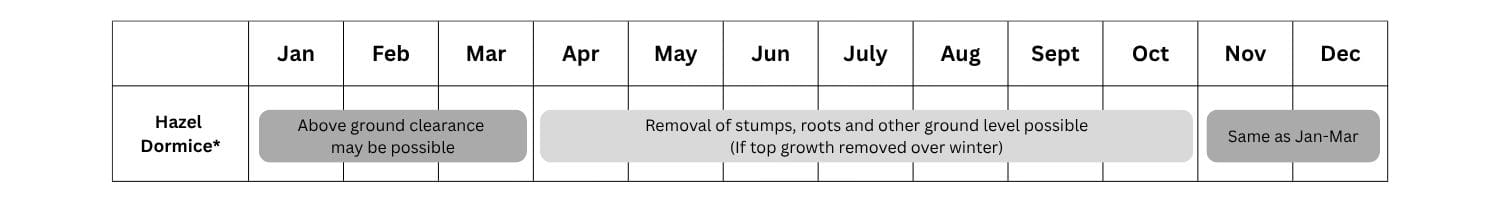 Hazel Dormice - mitigation calendar