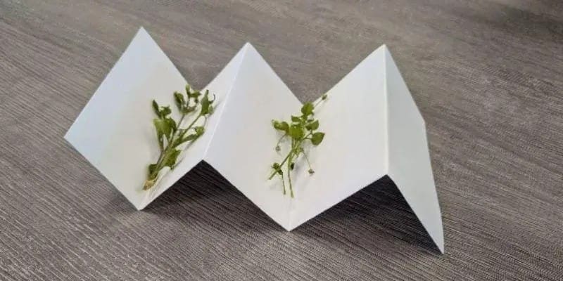 Weed samples separated