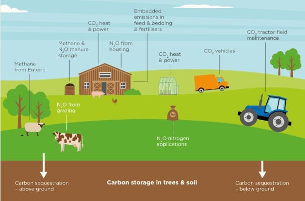 Image showing where emissions come from including vehicles, animals and power