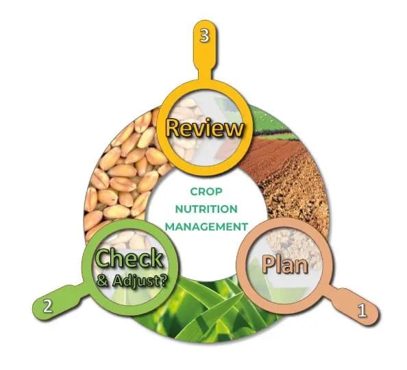 Nutricheck-NET-diagram