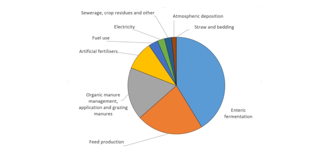 Dairy pie chart graph